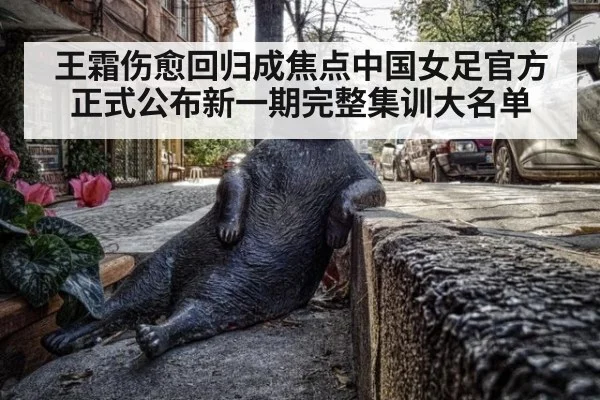 王霜伤愈回归成焦点中国女足官方正式公布新一期完整集训大名单